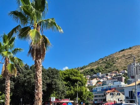 Opis slike