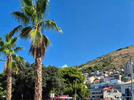 Opis slike