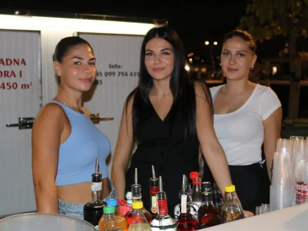 Opis slike