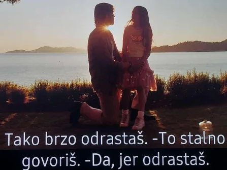Opis slike