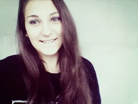 Opis slike