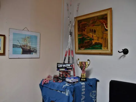 Opis slike
