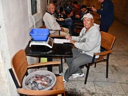 Opis slike