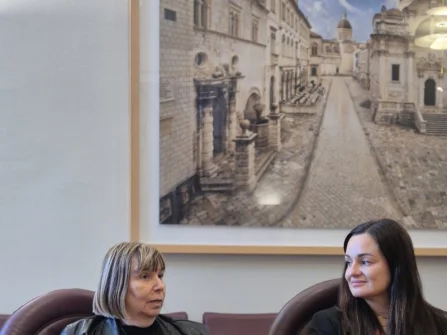 Opis slike