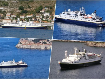 Opis slike
