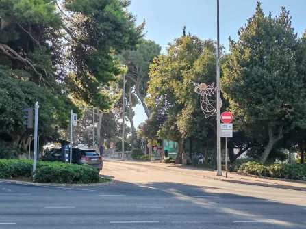 Opis slike