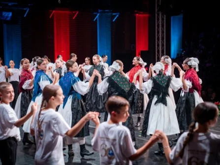 Opis slike