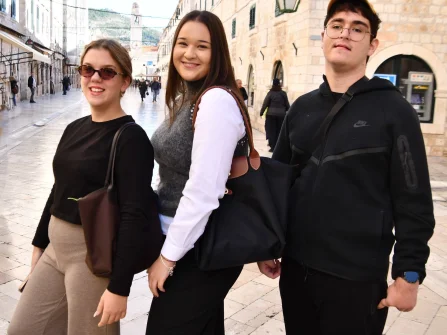 Opis slike