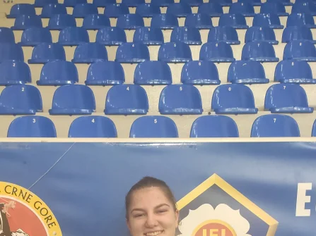 Opis slike