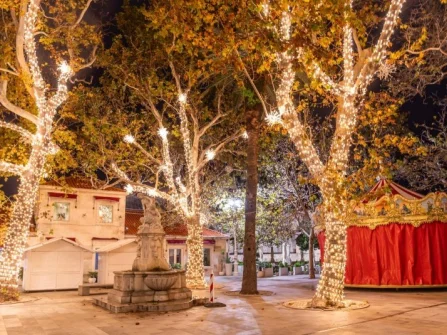 Opis slike