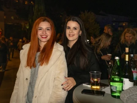 Opis slike
