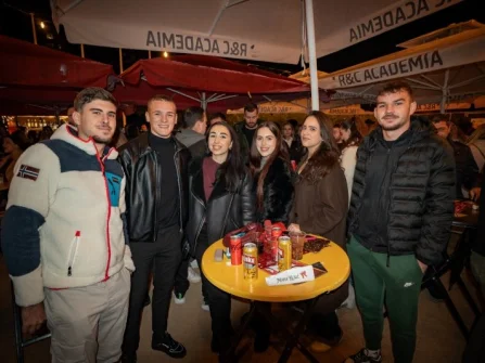 Opis slike