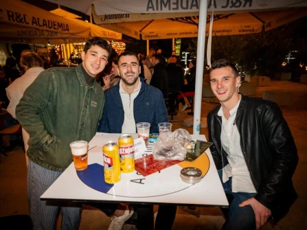 Opis slike