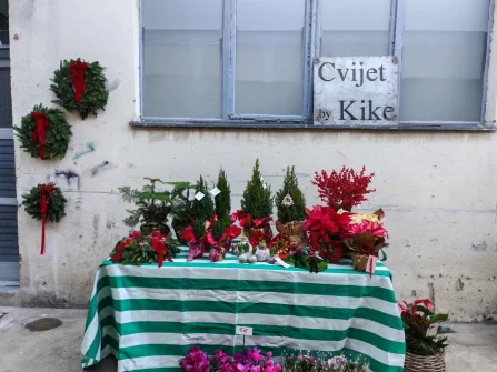 Opis slike