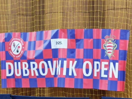 Opis slike