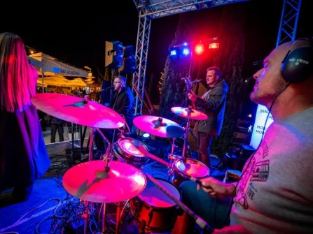 Opis slike