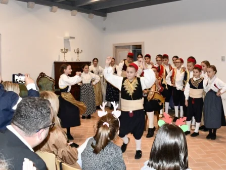 Opis slike