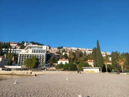 Opis slike