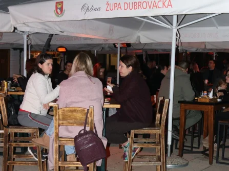 Opis slike