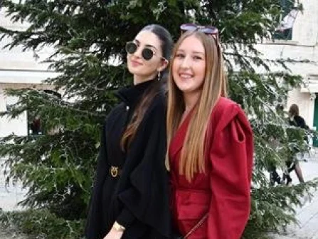 Opis slike