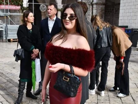 Opis slike