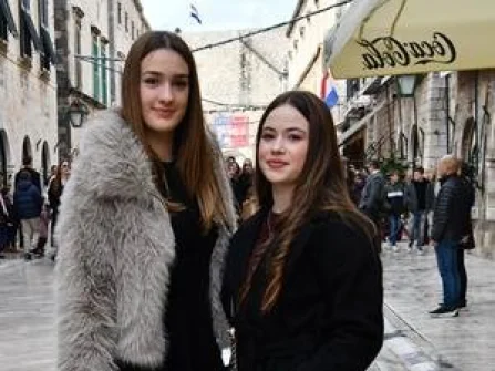 Opis slike