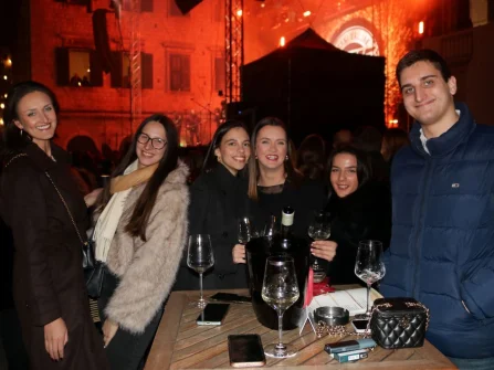 Opis slike