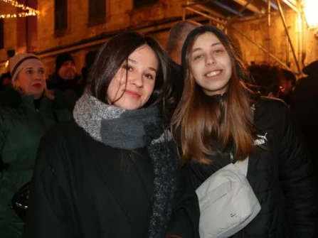 Opis slike