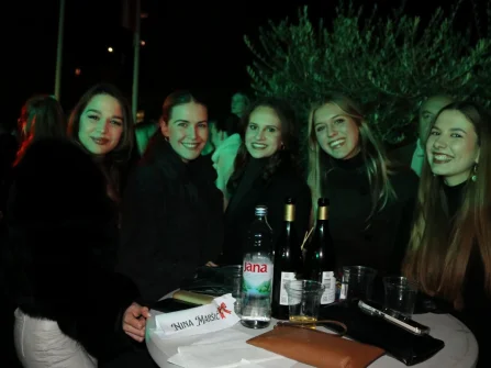 Opis slike