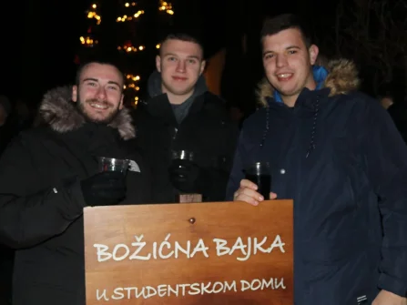 Opis slike