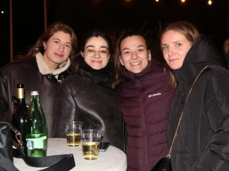 Opis slike