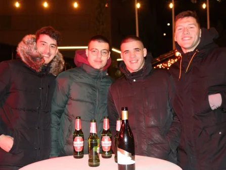 Opis slike