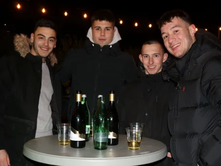 Opis slike