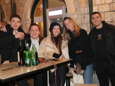 Opis slike