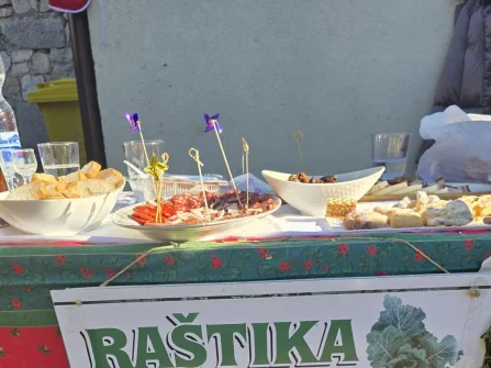 Opis slike