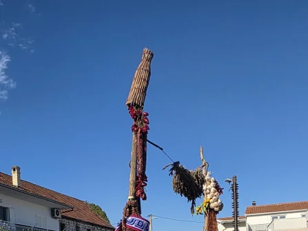 Opis slike