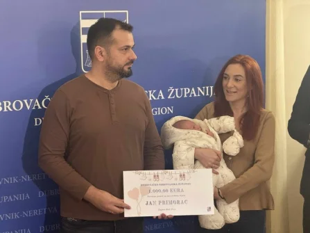 Opis slike