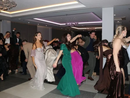 Opis slike