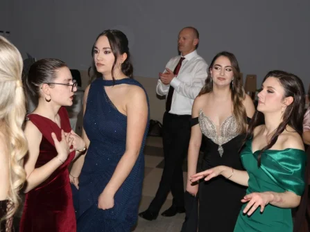 Opis slike