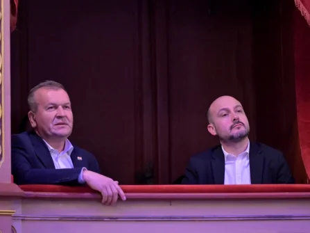 Opis slike
