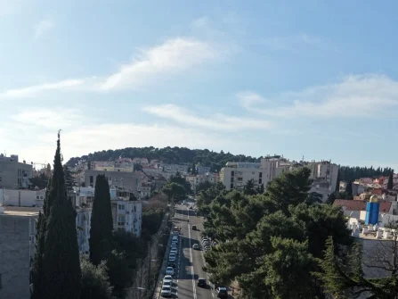 Opis slike