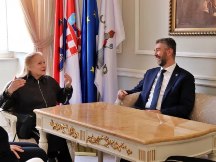 Opis slike