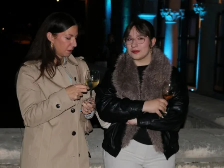 Opis slike
