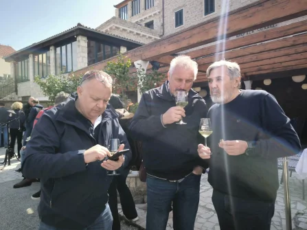 Opis slike