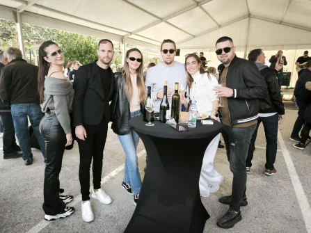 Opis slike