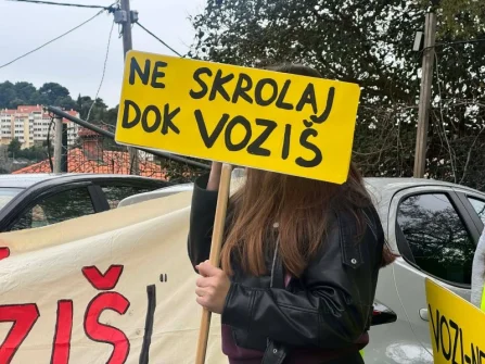 Opis slike