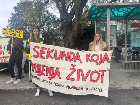 Opis slike