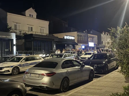 Opis slike
