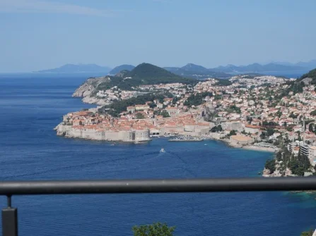 Opis slike