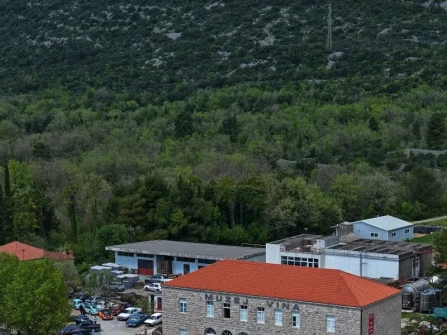Opis slike